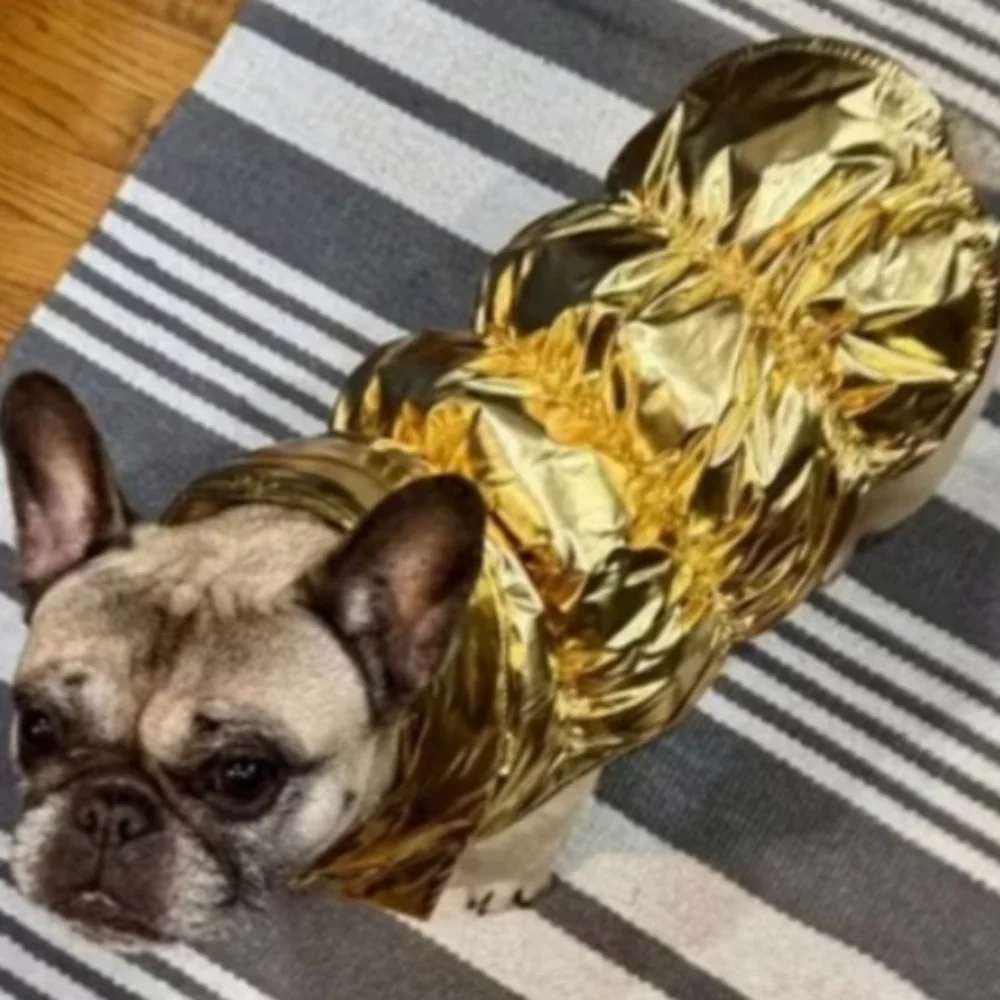 Boots & Barkley XS Stylish Shiny Gold Puffer Jacket & Hat Cat or Dog Outfit Chic